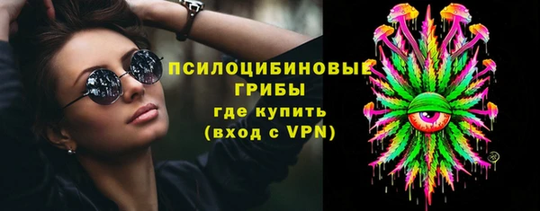 молекула духа Верхний Тагил