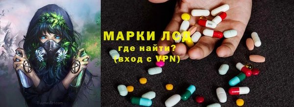 молекула духа Верхний Тагил