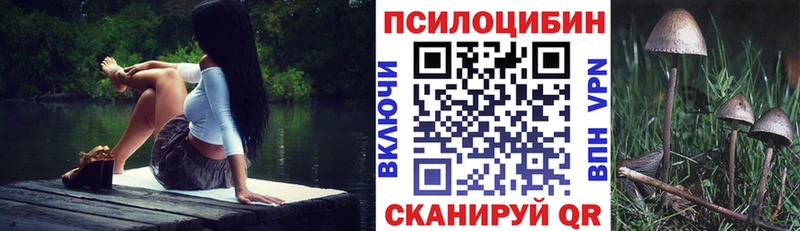 Псилоцибиновые грибы Cubensis  MEGA маркетплейс  Кущёвская  даркнет сайт 